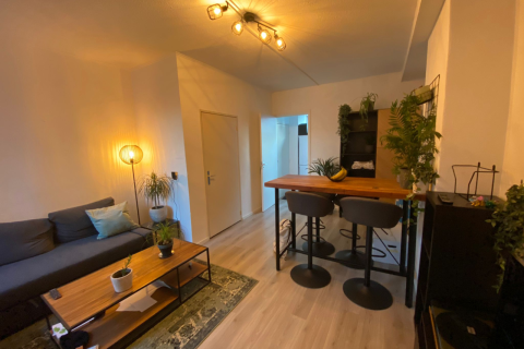 house image