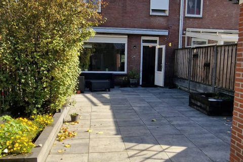 house image