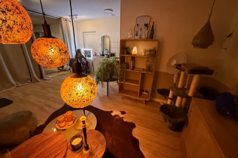 house image