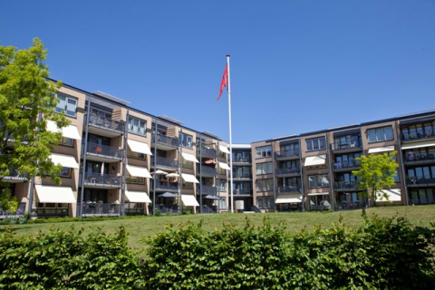 house image