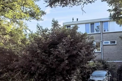 house image