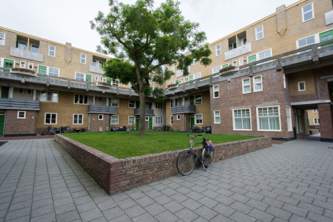 house image