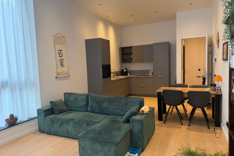 house image