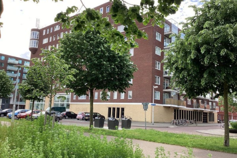 house image