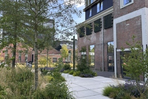 house image