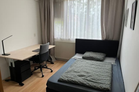 house image