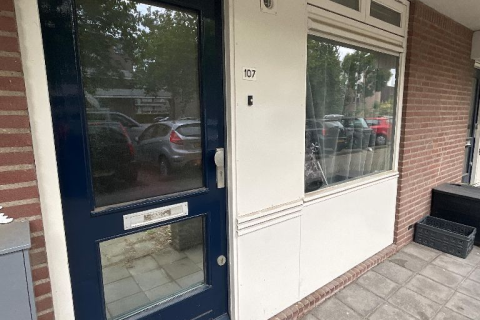 house image