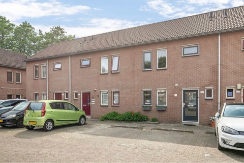 house image