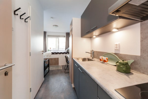 house image