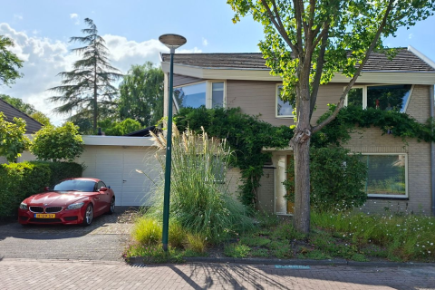 house image