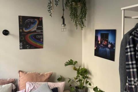 house image