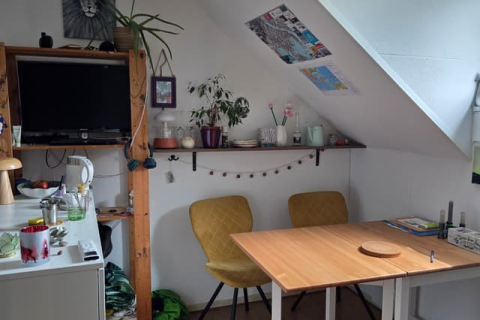 house image