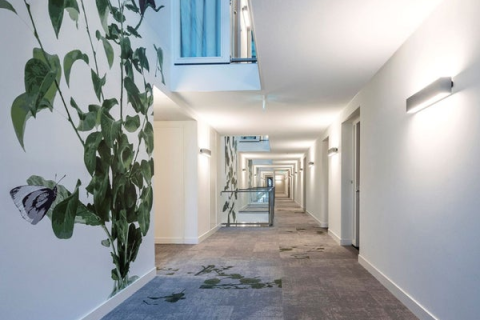 house image