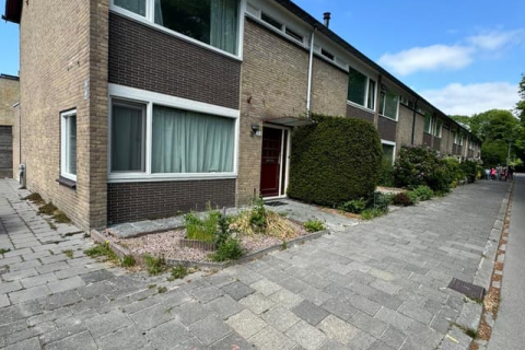 house image
