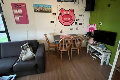 house image