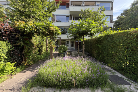 house image