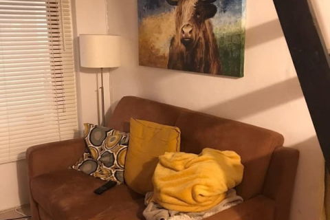 house image