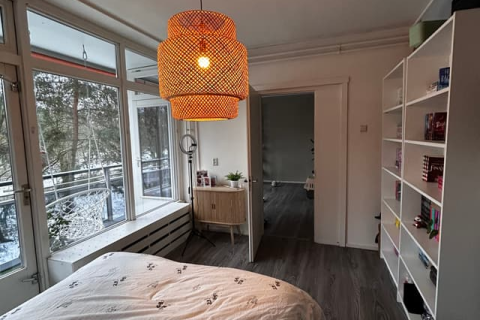 house image