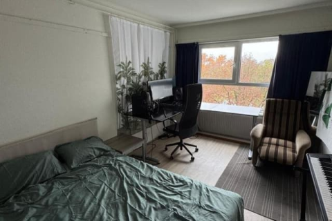 house image