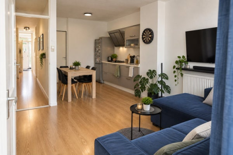 house image