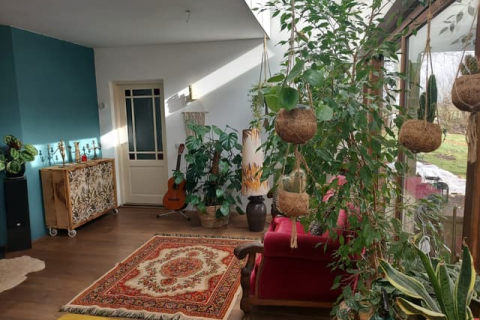 house image