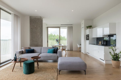 house image
