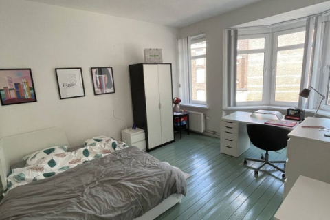 house image