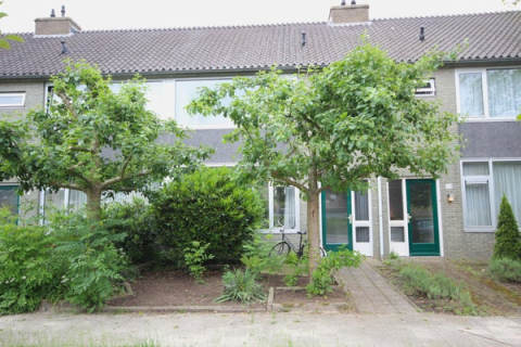 house image