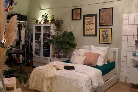 house image