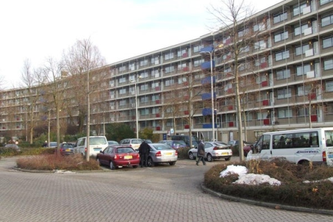 house image