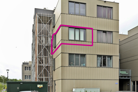 house image