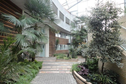 house image