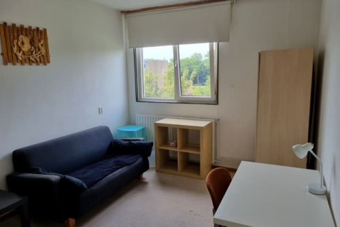 house image