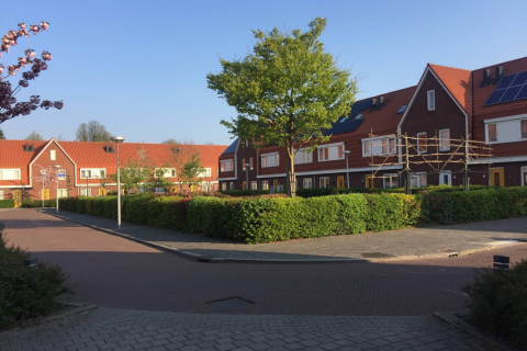 house image