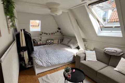 house image