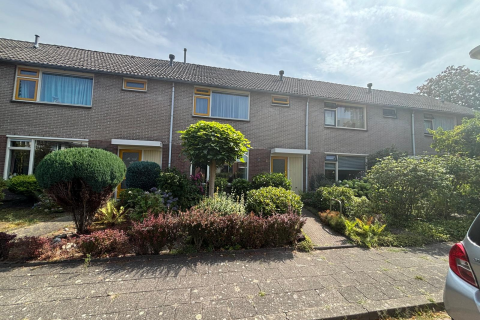 house image