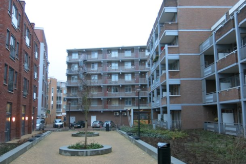 house image