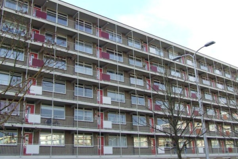 house image