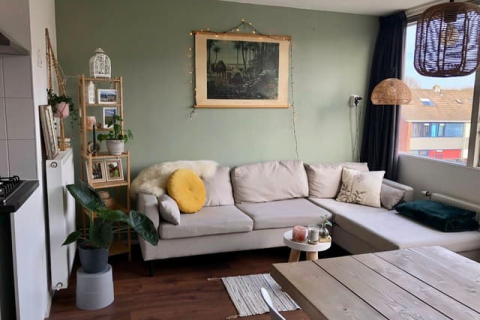 house image