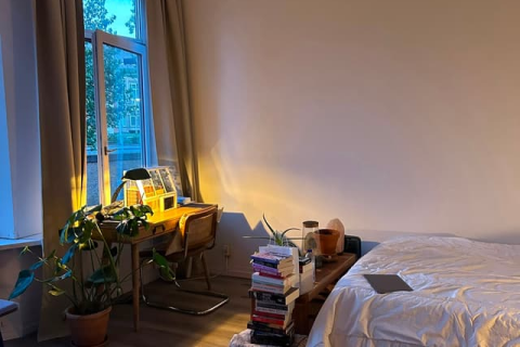 house image