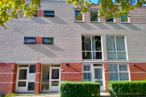 house image