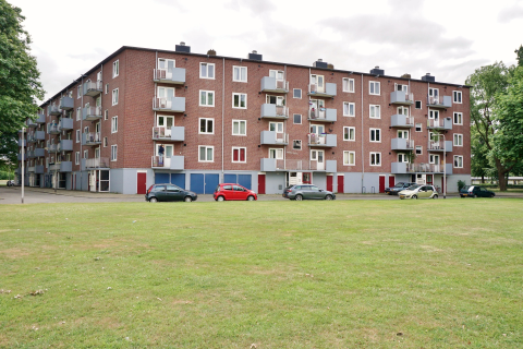 house image