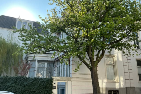 house image