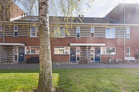 house image