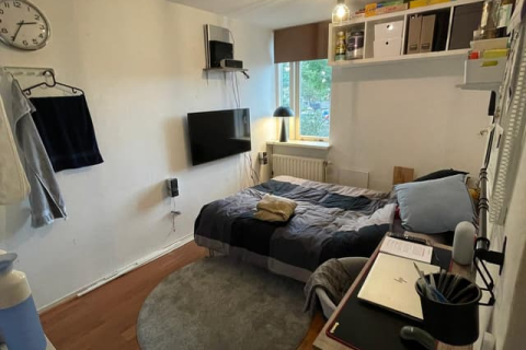 house image