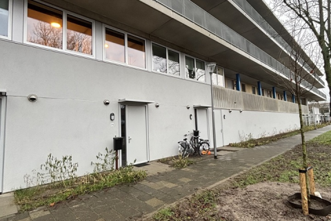 house image