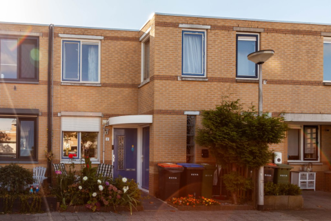 house image