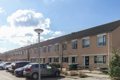 house image