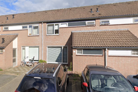 house image