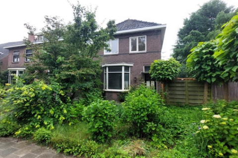 house image